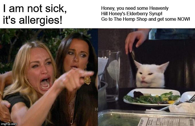Woman Yelling At Cat Meme | I am not sick, it's allergies! Honey, you need some Heavenly Hill Honey's Elderberry Syrup! Go to The Hemp Shop and get some NOW! | image tagged in memes,woman yelling at cat | made w/ Imgflip meme maker