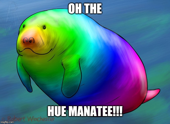 Hue Manatee | OH THE HUE MANATEE!!! | image tagged in hue manatee | made w/ Imgflip meme maker