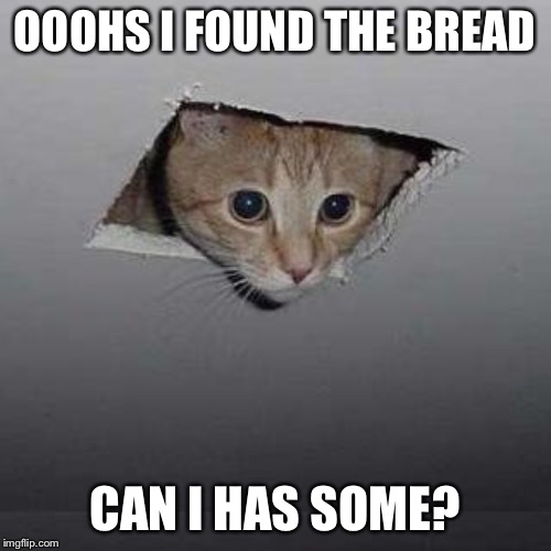 Ceiling Cat Meme | OOOHS I FOUND THE BREAD; CAN I HAS SOME? | image tagged in memes,ceiling cat | made w/ Imgflip meme maker