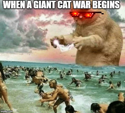 Cat god | WHEN A GIANT CAT WAR BEGINS | image tagged in cat god | made w/ Imgflip meme maker