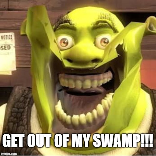 Get out of my swamp! | GET OUT OF MY SWAMP!!! | image tagged in shrek,swamp,get out of my swamp | made w/ Imgflip meme maker