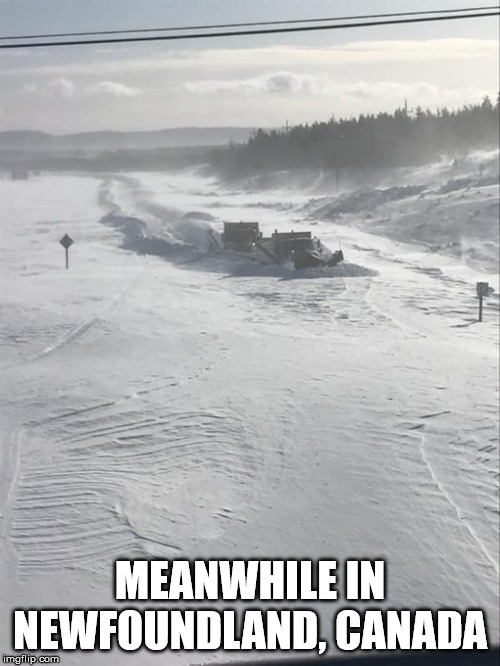 MEANWHILE IN NEWFOUNDLAND, CANADA | made w/ Imgflip meme maker