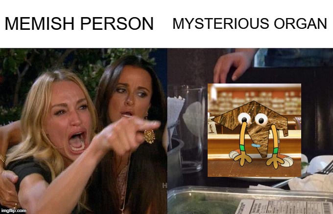 MEMISH PERSON MYSTERIOUS ORGAN | image tagged in memes,woman yelling at cat | made w/ Imgflip meme maker