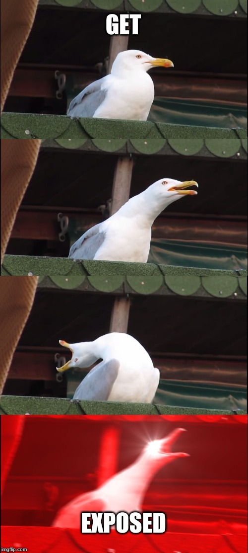 Inhaling Seagull Meme | GET; EXPOSED | image tagged in memes,inhaling seagull | made w/ Imgflip meme maker