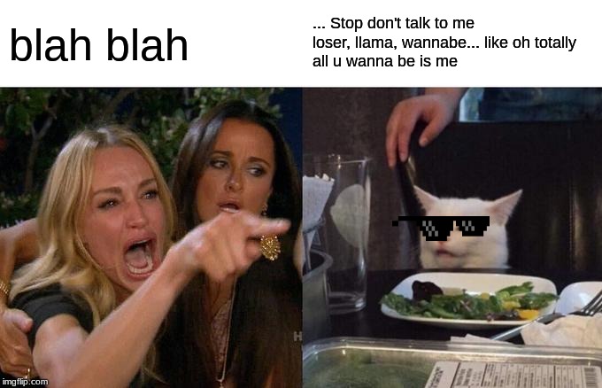 Woman Yelling At Cat | blah blah; ... Stop don't talk to me 
loser, llama, wannabe... like oh totally
all u wanna be is me | image tagged in memes,woman yelling at cat | made w/ Imgflip meme maker