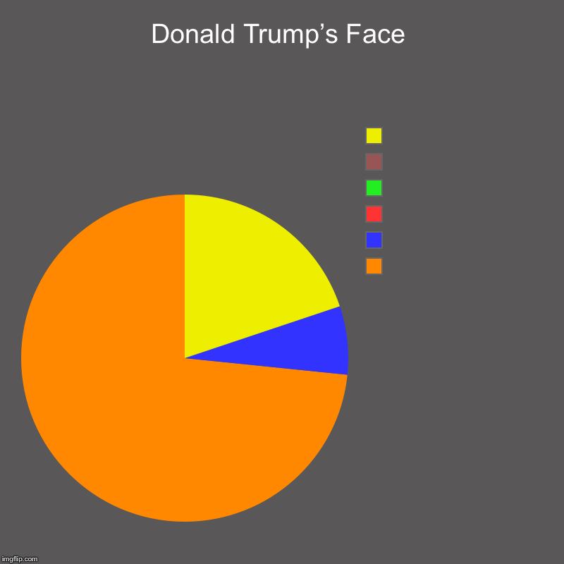 Donald Trump’s Face |  ,  ,  ,  ,  , | image tagged in charts,pie charts,trump | made w/ Imgflip chart maker