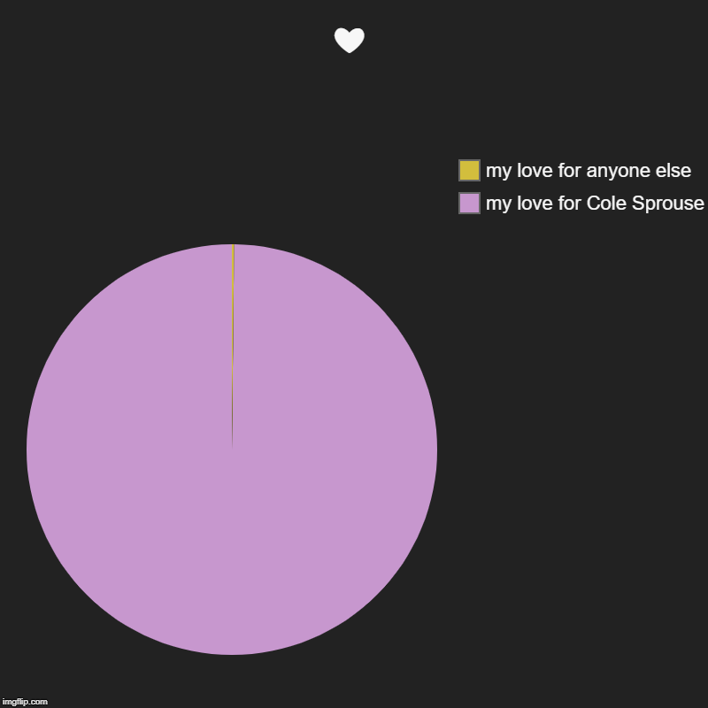 ❤ | my love for Cole Sprouse, my love for anyone else | image tagged in charts,pie charts | made w/ Imgflip chart maker