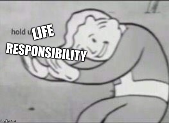 Fallout Hold Up | LIFE RESPONSIBILITY | image tagged in fallout hold up | made w/ Imgflip meme maker