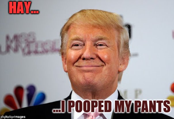 Donald trump approves | HAY... ...I POOPED MY PANTS | image tagged in donald trump approves | made w/ Imgflip meme maker
