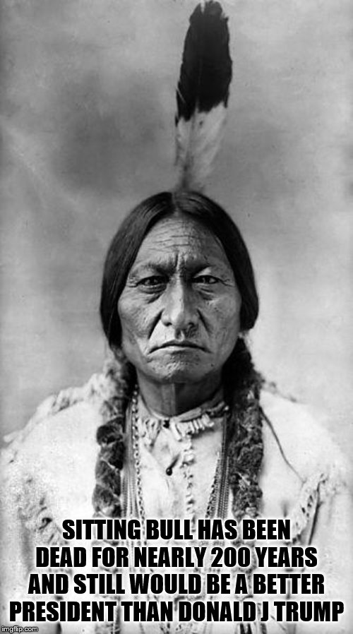 Sitting Bull | SITTING BULL HAS BEEN DEAD FOR NEARLY 200 YEARS AND STILL WOULD BE A BETTER PRESIDENT THAN DONALD J TRUMP | image tagged in sitting bull | made w/ Imgflip meme maker