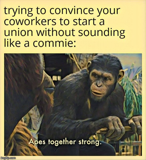 Repost but hilarious | image tagged in repost,politics,union,democrats,commie,apes | made w/ Imgflip meme maker