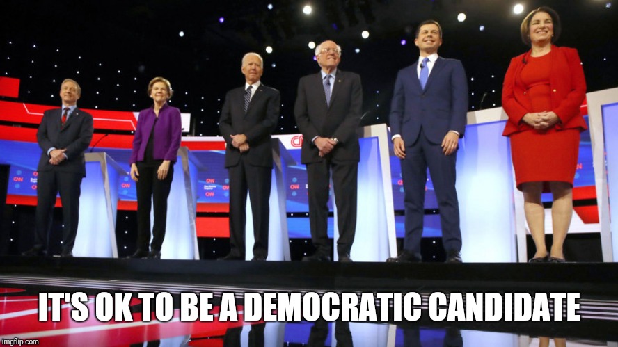 IT'S OK TO BE A DEMOCRATIC CANDIDATE | image tagged in democrats | made w/ Imgflip meme maker