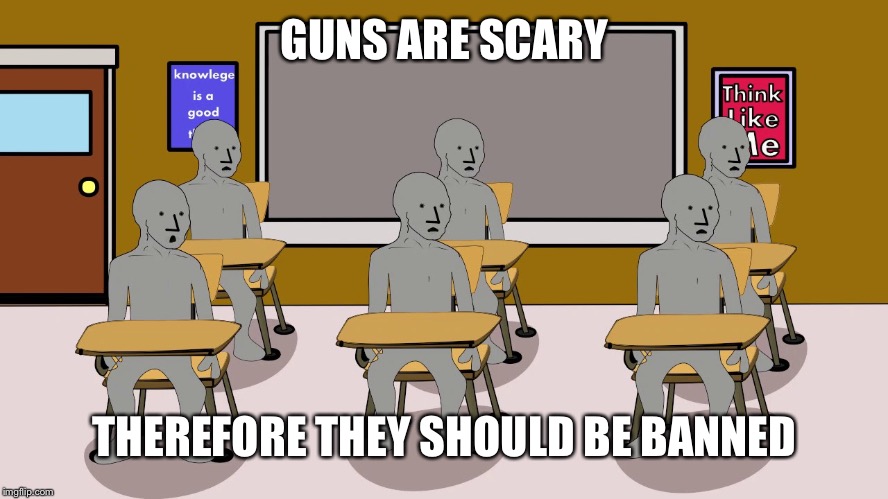 GUNS ARE SCARY THEREFORE THEY SHOULD BE BANNED | image tagged in npc university | made w/ Imgflip meme maker