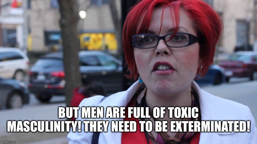 Feminazi | BUT MEN ARE FULL OF TOXIC MASCULINITY! THEY NEED TO BE EXTERMINATED! | image tagged in feminazi | made w/ Imgflip meme maker