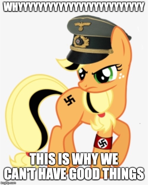 Why We Can't Have Good Things | WHYYYYYYYYYYYYYYYYYYYYYYYYY; THIS IS WHY WE CAN'T HAVE GOOD THINGS | image tagged in memes,my little pony,nazi | made w/ Imgflip meme maker