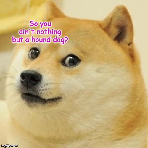 Doge Meme | So you ain't nothing but a hound dog? | image tagged in memes,doge | made w/ Imgflip meme maker