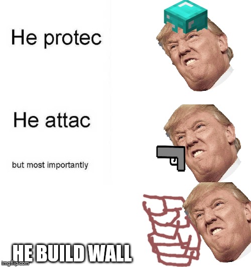 He protec, he atac | HE BUILD WALL | image tagged in he protec he atac | made w/ Imgflip meme maker