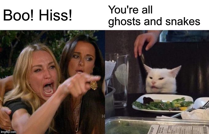 Woman Yelling At Cat Meme | Boo! Hiss! You're all ghosts and snakes | image tagged in memes,woman yelling at cat | made w/ Imgflip meme maker
