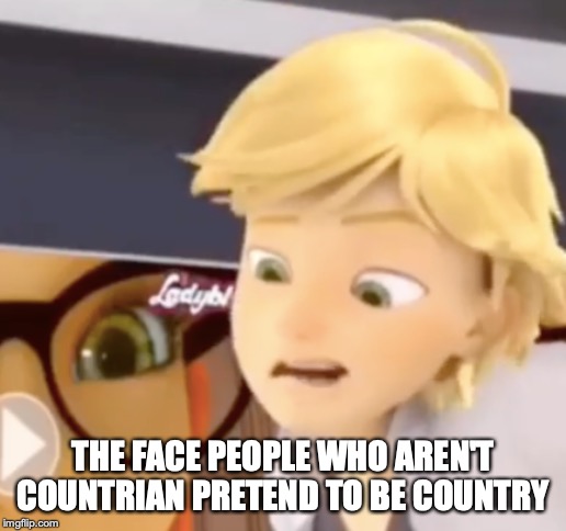 country acting Adrien | THE FACE PEOPLE WHO AREN'T COUNTRIAN PRETEND TO BE COUNTRY | image tagged in country acting adrien,memes | made w/ Imgflip meme maker