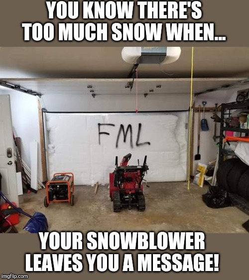 Newfoundland Snowstorm 2020 | YOU KNOW THERE'S TOO MUCH SNOW WHEN... YOUR SNOWBLOWER LEAVES YOU A MESSAGE! | image tagged in newfoundland,snow,snow storm,snowstorm,snowpocalypse | made w/ Imgflip meme maker