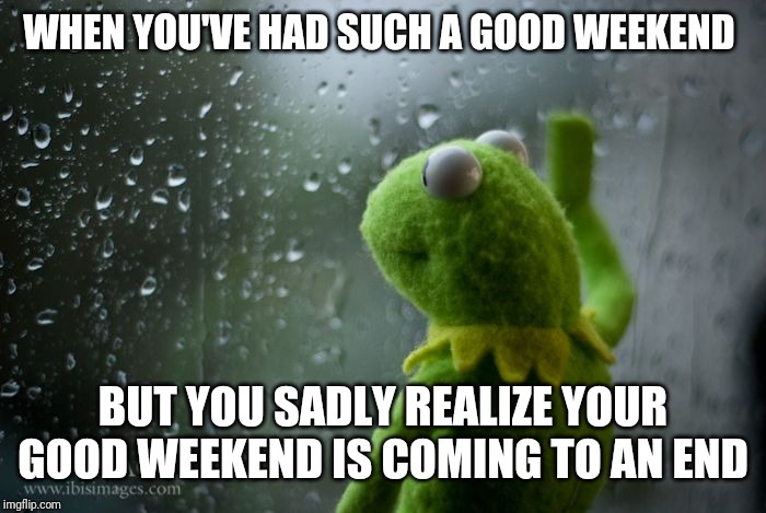 kermit window | WHEN YOU'VE HAD SUCH A GOOD WEEKEND; BUT YOU SADLY REALIZE YOUR GOOD WEEKEND IS COMING TO AN END | image tagged in kermit window,memes | made w/ Imgflip meme maker
