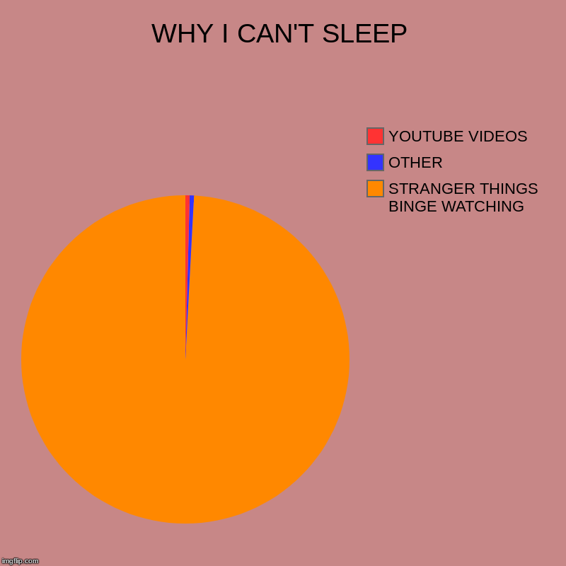 WHY I CAN'T SLEEP | STRANGER THINGS BINGE WATCHING, OTHER, YOUTUBE VIDEOS | image tagged in charts,pie charts | made w/ Imgflip chart maker
