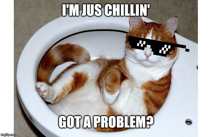 Funny Cat | I'M JUS CHILLIN'; GOT A PROBLEM? | image tagged in funny cat,memes,funny memes,cats,funny cat memes,dank memes | made w/ Imgflip meme maker