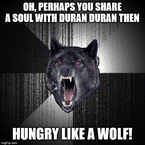 Insanity Wolf Meme | OH, PERHAPS YOU SHARE A SOUL WITH DURAN DURAN THEN HUNGRY LIKE A WOLF! | image tagged in memes,insanity wolf | made w/ Imgflip meme maker