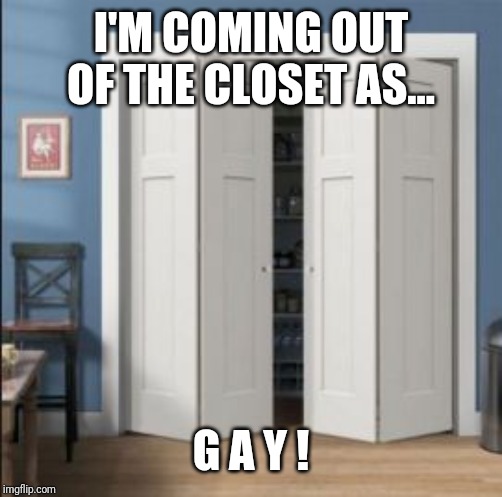 You probably already know from my last meme I posted here. | I'M COMING OUT OF THE CLOSET AS... G A Y ! | image tagged in closet | made w/ Imgflip meme maker