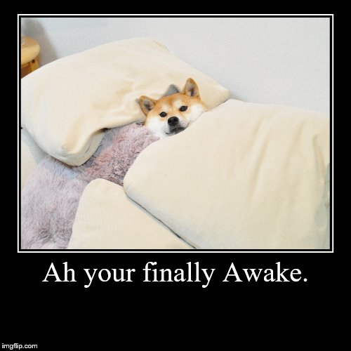 Ah your finally Awake. | | image tagged in funny,demotivationals | made w/ Imgflip demotivational maker