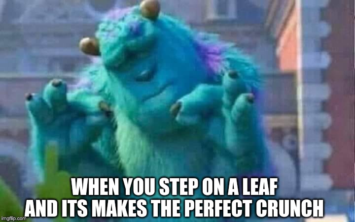Sully shutdown | WHEN YOU STEP ON A LEAF AND ITS MAKES THE PERFECT CRUNCH | image tagged in sully shutdown | made w/ Imgflip meme maker