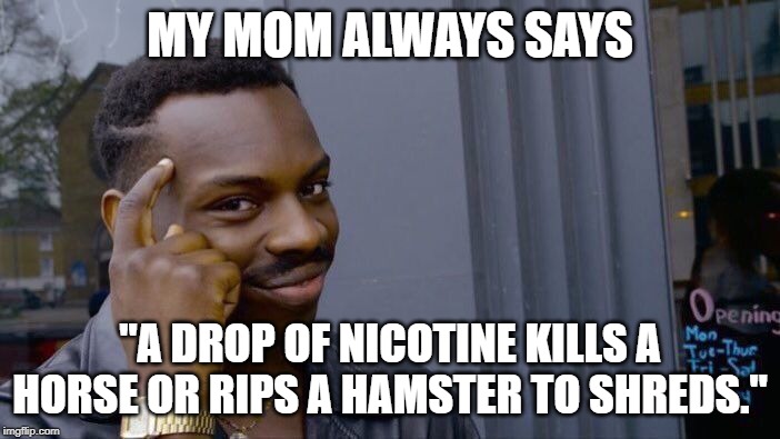 Don't smoke, kids | MY MOM ALWAYS SAYS; "A DROP OF NICOTINE KILLS A HORSE OR RIPS A HAMSTER TO SHREDS." | image tagged in memes,roll safe think about it,funny,funny memes,latest,horse | made w/ Imgflip meme maker