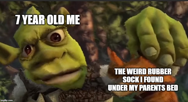 Confused Shrek | 7 YEAR OLD ME; THE WEIRD RUBBER SOCK I FOUND UNDER MY PARENTS BED | image tagged in confused shrek | made w/ Imgflip meme maker