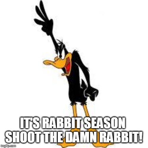 daffy duck demanding | IT'S RABBIT SEASON 
SHOOT THE DAMN RABBIT! | image tagged in daffy duck demanding | made w/ Imgflip meme maker