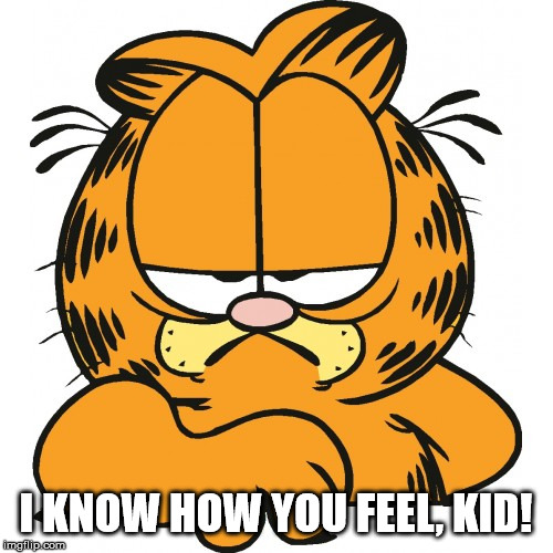 Garfield | I KNOW HOW YOU FEEL, KID! | image tagged in garfield | made w/ Imgflip meme maker