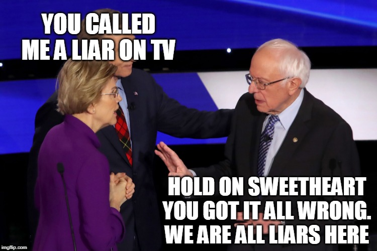 YOU CALLED ME A LIAR ON TV; HOLD ON SWEETHEART YOU GOT IT ALL WRONG. WE ARE ALL LIARS HERE | image tagged in elizabeth warren,bernie sanders | made w/ Imgflip meme maker