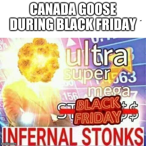 ultra super mega stonks | CANADA GOOSE DURING BLACK FRIDAY | image tagged in ultra super mega stonks | made w/ Imgflip meme maker