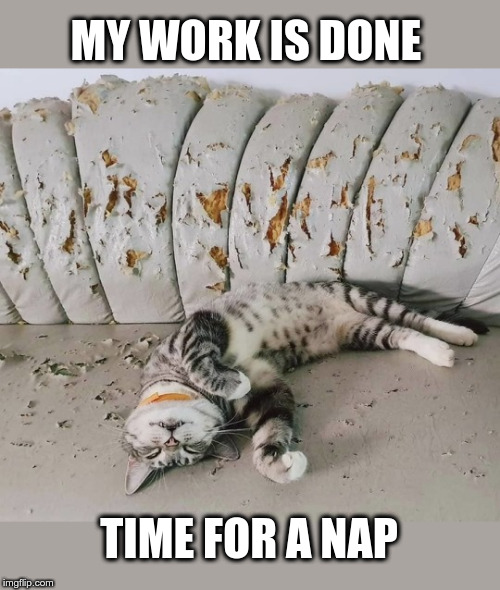 Cats and Couches | MY WORK IS DONE; TIME FOR A NAP | image tagged in cats,couch,funny memes,i love cats | made w/ Imgflip meme maker