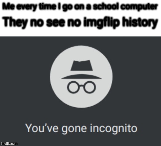 You've gone incognito | Me every time I go on a school computer; They no see no imgflip history | image tagged in you've gone incognito | made w/ Imgflip meme maker