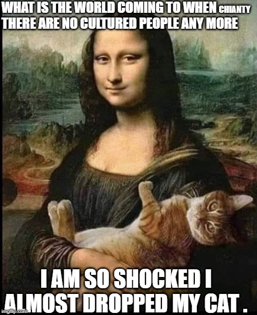 Cultured | WHAT IS THE WORLD COMING TO WHEN THERE ARE NO CULTURED PEOPLE ANY MORE; CHIANTY; I AM SO SHOCKED I ALMOST DROPPED MY CAT . | image tagged in shocked | made w/ Imgflip meme maker