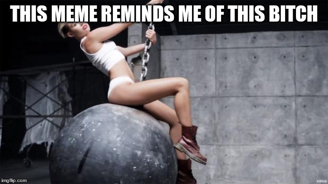 miley cyrus wreckingball | THIS MEME REMINDS ME OF THIS B**CH | image tagged in miley cyrus wreckingball | made w/ Imgflip meme maker
