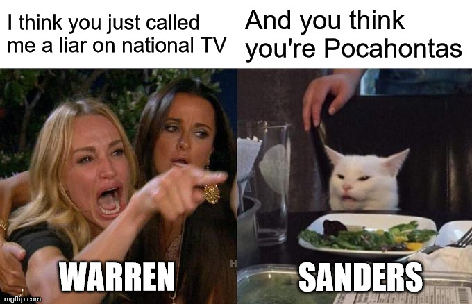 Warren Yelling At Sanders | I think you just called me a liar on national TV; And you think you're Pocahontas; WARREN; SANDERS | image tagged in memes,woman yelling at cat,queen elizabeth,bernie sanders | made w/ Imgflip meme maker