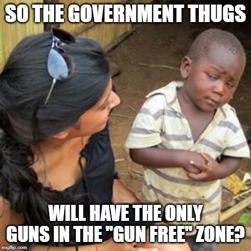so youre telling me | SO THE GOVERNMENT THUGS; WILL HAVE THE ONLY GUNS IN THE "GUN FREE" ZONE? | image tagged in so youre telling me | made w/ Imgflip meme maker