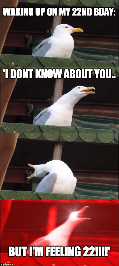 Inhaling Seagull | WAKING UP ON MY 22ND BDAY:; 'I DONT KNOW ABOUT YOU.. BUT I'M FEELING 22!!!!' | image tagged in memes,inhaling seagull | made w/ Imgflip meme maker