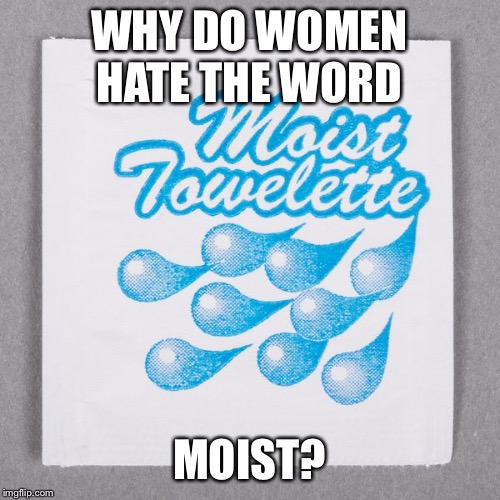 Moist | WHY DO WOMEN HATE THE WORD; MOIST? | image tagged in moist | made w/ Imgflip meme maker