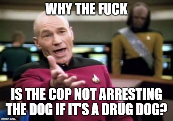 Picard Wtf Meme | WHY THE F**K IS THE COP NOT ARRESTING THE DOG IF IT'S A DRUG DOG? | image tagged in memes,picard wtf | made w/ Imgflip meme maker