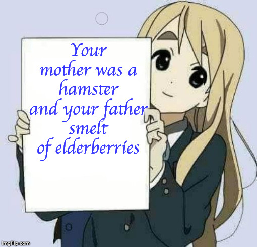 Girl holding sign | Your mother was a hamster and your father smelt of elderberries | image tagged in girl holding sign | made w/ Imgflip meme maker