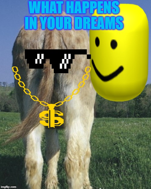 WHAT HAPPENS IN YOUR DREAMS | image tagged in donkey roblox dreams,dreams | made w/ Imgflip meme maker