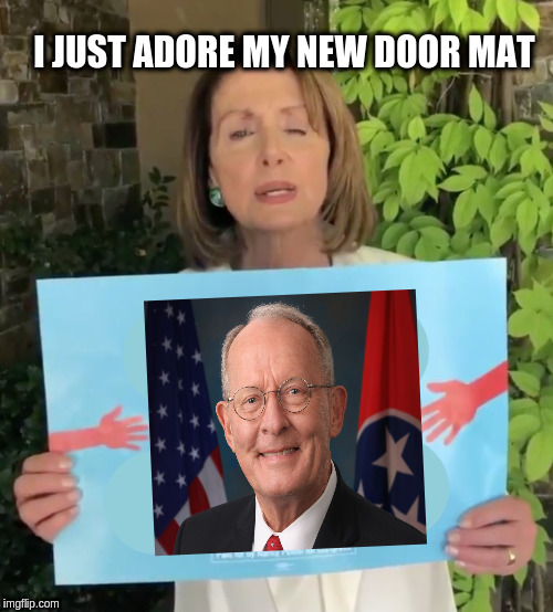 Pelosi sign  | I JUST ADORE MY NEW DOOR MAT | image tagged in pelosi sign | made w/ Imgflip meme maker