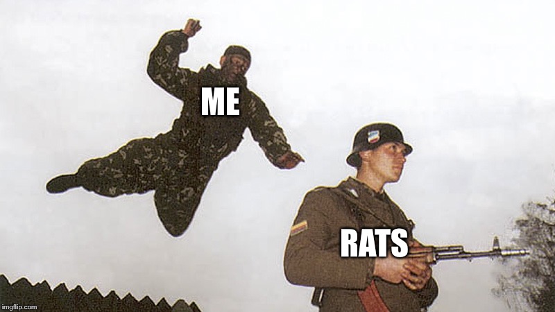 ME RATS | image tagged in soldier jump spetznaz | made w/ Imgflip meme maker